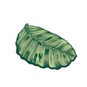 Zelena kupaonska prostirka 60x100 cm Sheet – Foutastic