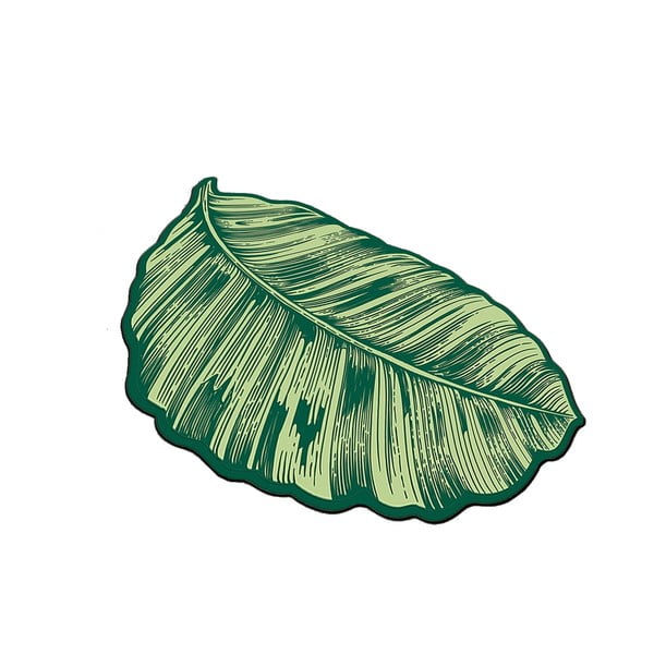 Zelena kupaonska prostirka 60x100 cm Sheet – Foutastic