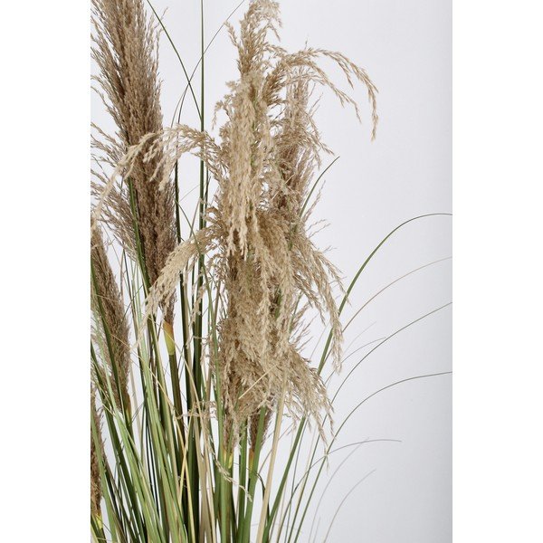 Umjetna biljka (visina 145 cm) Austorderia – Bizzotto-image-3