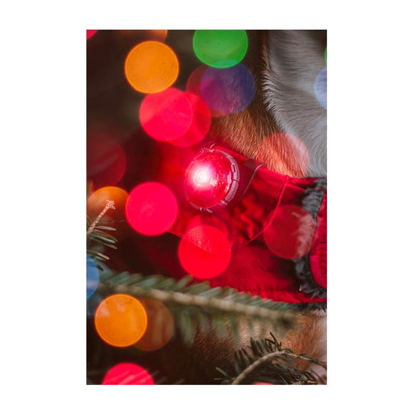 LED svjetlo za ovratnik Red - Orbiloc-image-4