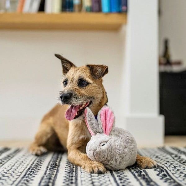 Igračka za psa Rabbit – P.L.A.Y.-image-1