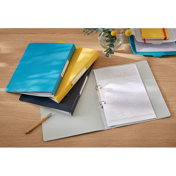 Sivi fascikl Leitz Cosy-image-1
