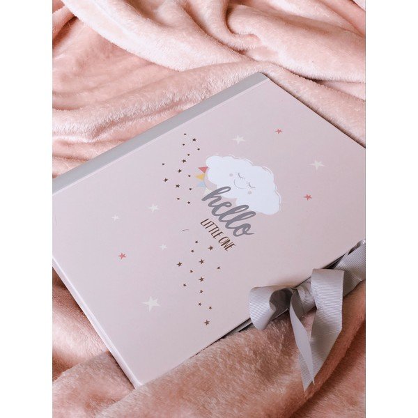 Pink Baby Diary Busy B-image-1