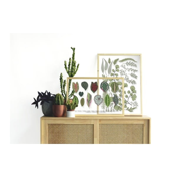 Slika s okvirom od borovog drva Surdic Leafes Collection, 50 x 70 cm-image-1