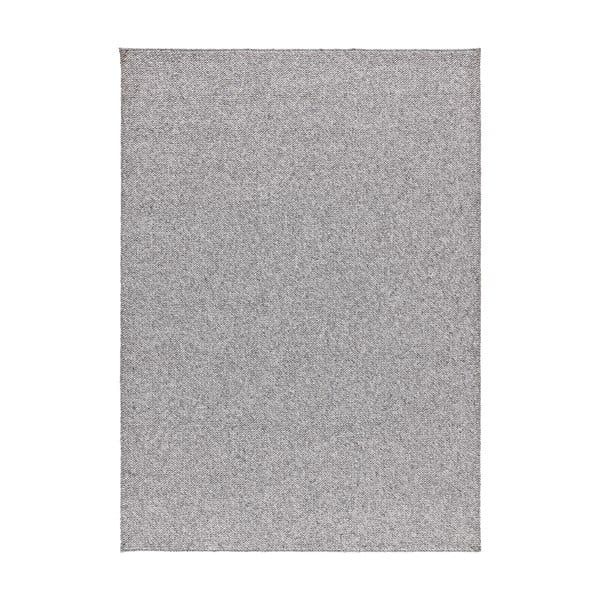 Svijetlo sivi tepih 80x150 cm Petra Liso – Universal