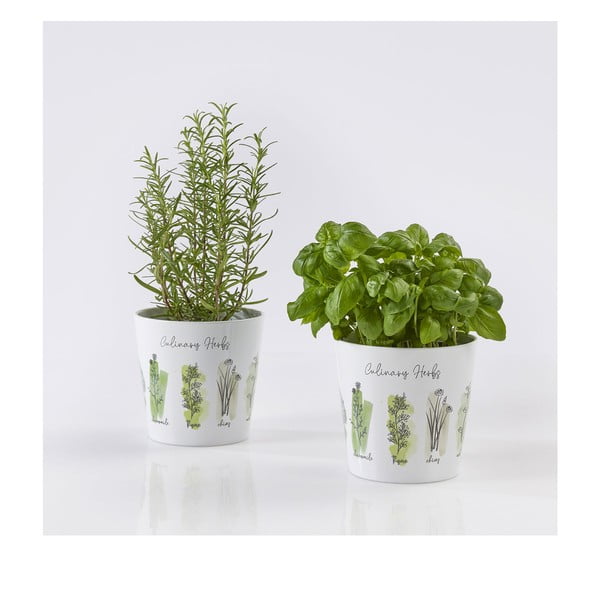 Keramičke posude za cvijeće u setu od 2 komada ø 14 cm Dalllas Culinary - Big pots-image-1