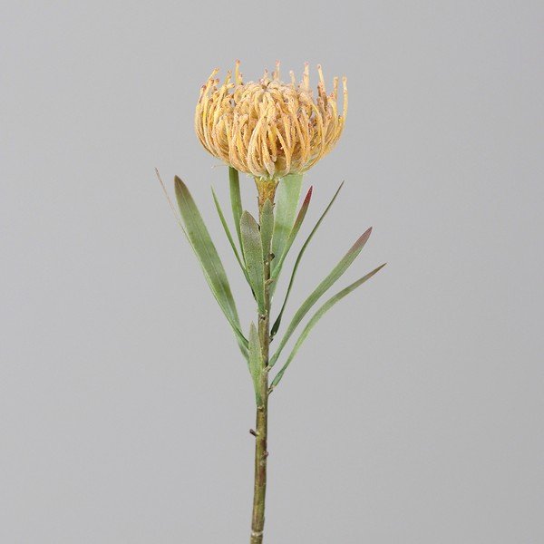 Umjetna biljka (visina 43 cm) Protea – Ego Dekor