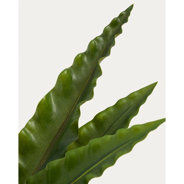 Umjetni sukulent (visina 70 cm) Neottopteris – Kave Home-image-2