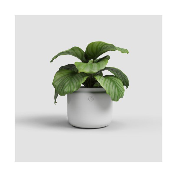 Keramička ručno rađena tegla za cvijeće ø 26 cm Astrea – Artevasi-image-1