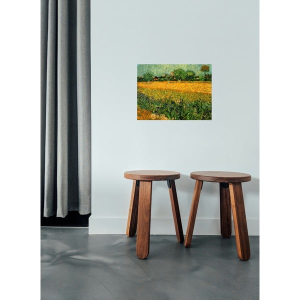 Reprodukcija slike Vincenta Van Gogha - View of arles with irises in the foreground, 40 x 30 cm-image-1