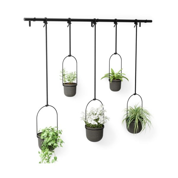 Plastične navlake za tegle u kompletu 5 kom za bilje/viseće i zidne ø 7,5 cm Triflora – Umbra-image-4