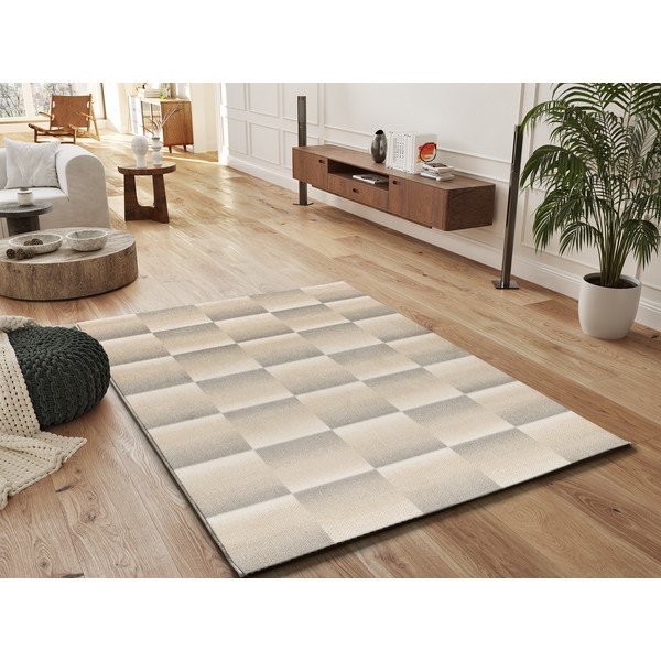 Sivi/krem tepih 160x230 cm Sensation – Universal-image-1
