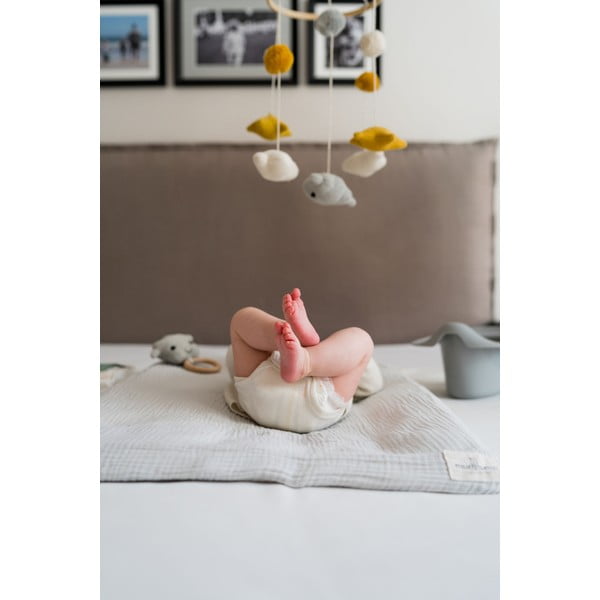 Siva kahlica - Kindsgut-image-2