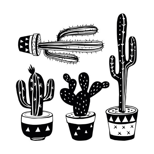 Set od 4 naljepnice Ambiance Mexican Cactus-image-2