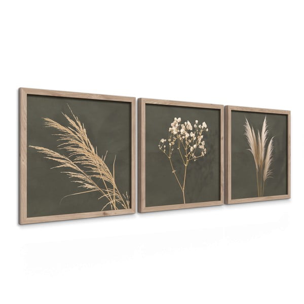 Slike u setu 3 kom 30x30 cm Pampas – Styler-image-4