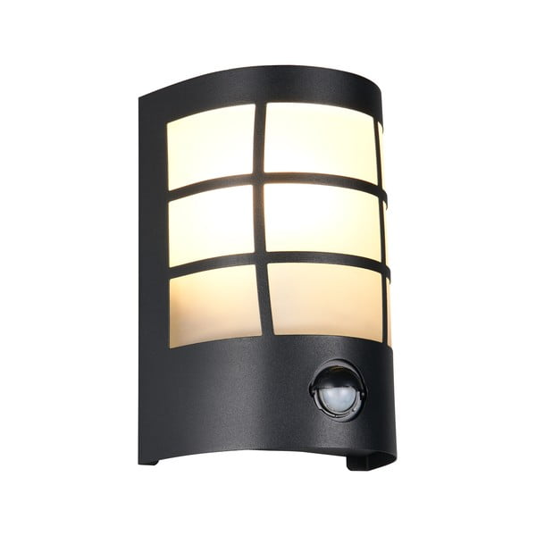 Zidna vanjska svjetiljka (visina 20 cm) Sintra – Trio-image-4