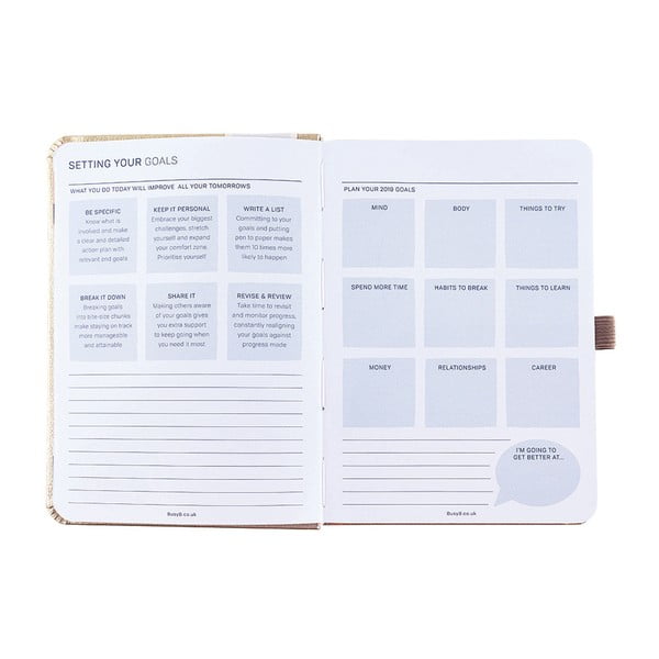 Dnevnik za 2019. s zauzetim B ciljevima-image-1