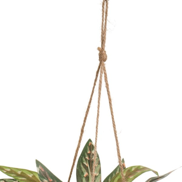 Umjetna biljka (visina 25 cm) – Casa Selección-image-2