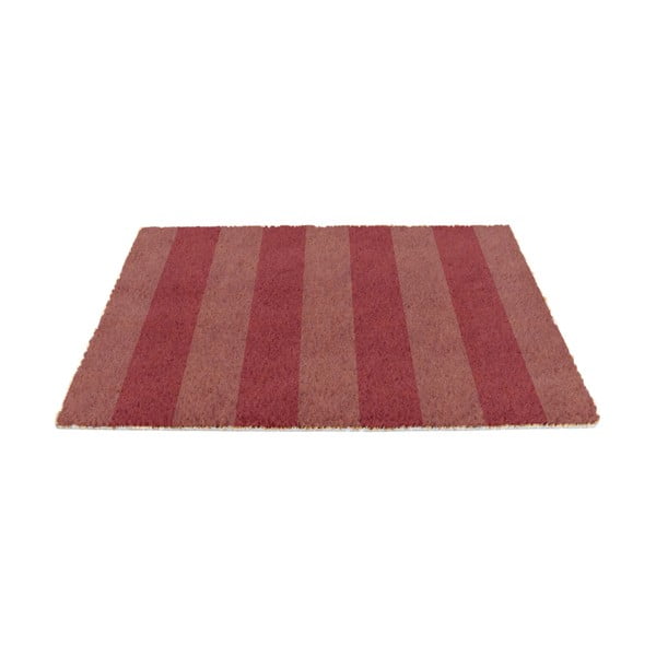 Otirač od kokosovih vlakana 40x60 cm Pink Stripe – Artsy Doormats