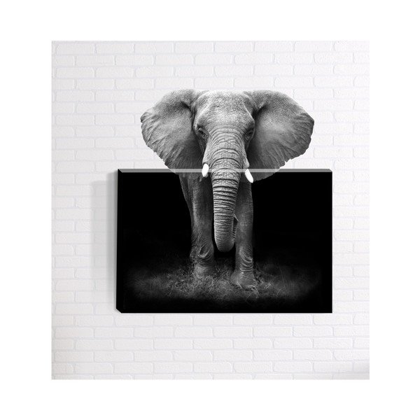 Zidna 3D slika Mosticx Afrika, 40 x 60 cm
