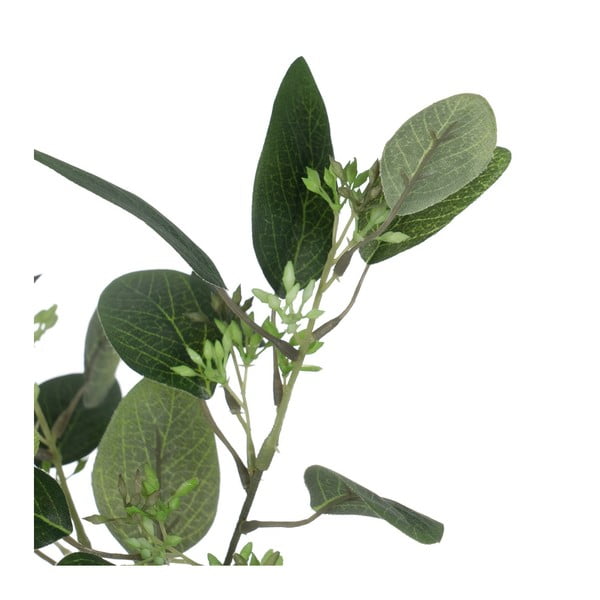 Umjetni eukaliptus (visina 59 cm) – Ixia-image-1