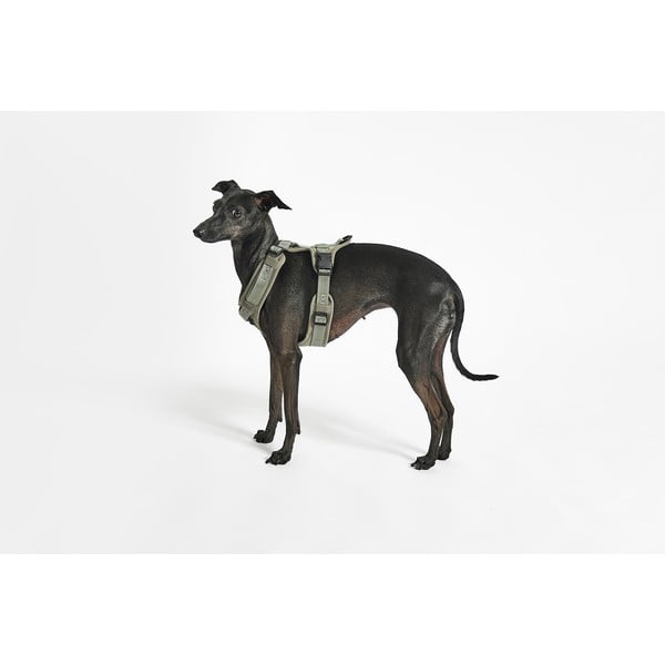 Zeleni uprtač L dužina 42 cm Modena Grolive L – MiaCara-image-1