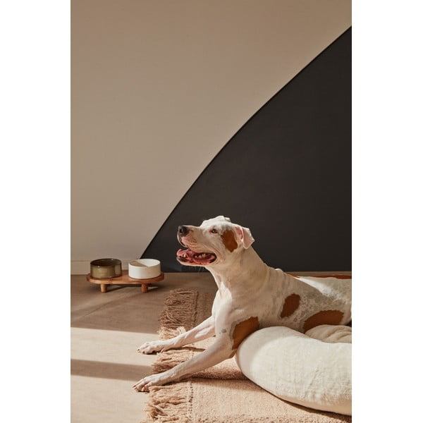 Keramičke zdjelice u setu od 2 komada za pse Dumbi - Kave Home-image-4