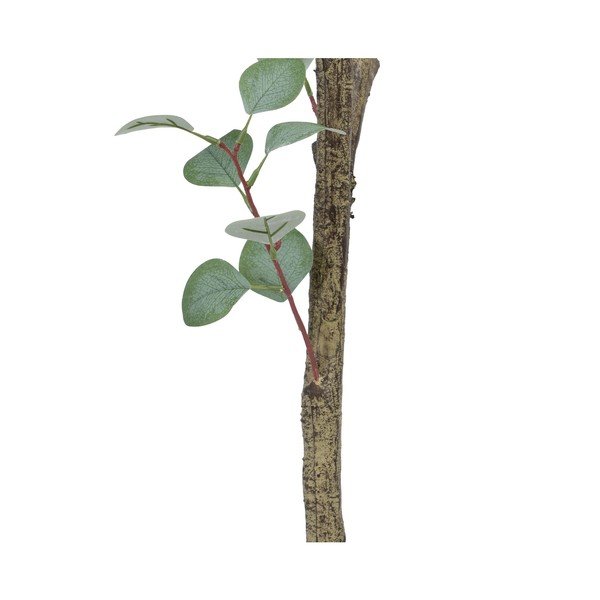 Umjetni eukaliptus (visina 180 cm) Eucalyptus – Ixia-image-4