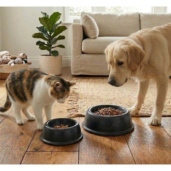 Zdjela za hranu za ljubimce od kamenine za kućne ljubimce ø 21 cm – Casafina-image-2