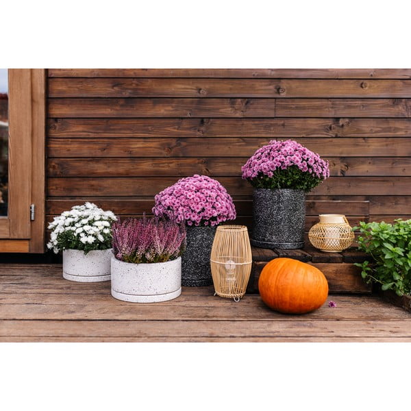 Tamno siva tegla Bonami Selection Terrazzo, ø 34 cm-image-3