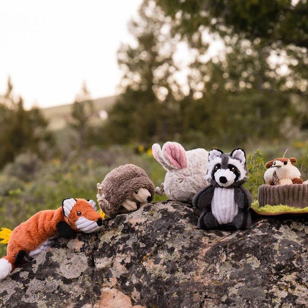 Poklon paket psećih igrački Forest Friends 5 kom – P.L.A.Y.-image-1