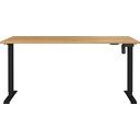 Radni stol 80x160 cm Boras – Germania