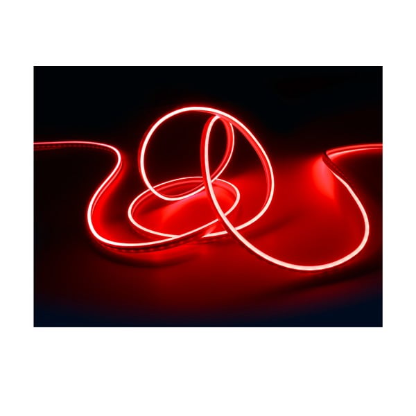 Bijela LED traka 300 cm Neon – Reality-image-4