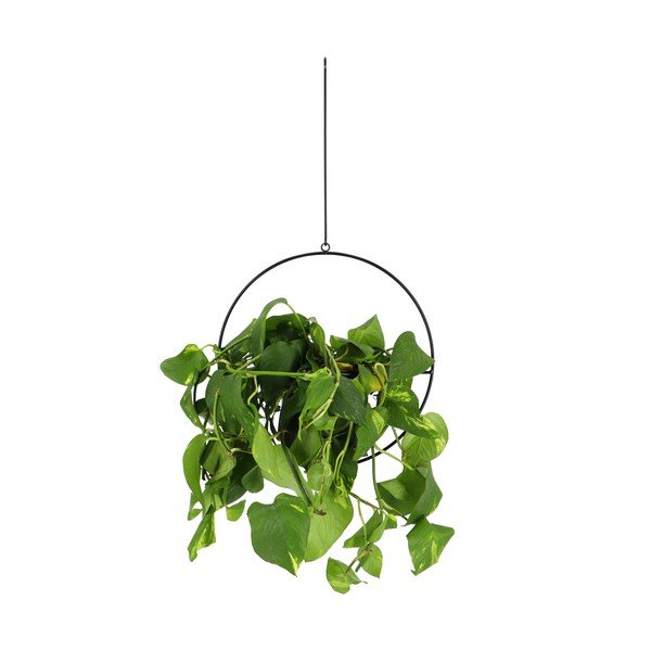 Crni viseći držač za teglu za cvijeće Esschert Design Planter-image-1