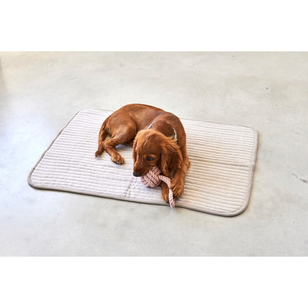 Bež pamučna deka za pse 90x120 cm Onda Greige L – MiaCara-image-2