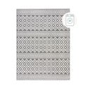 Sivi perivi tepih od šenila 80x160 cm Jhansi – Flair Rugs