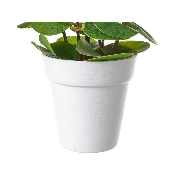 Umjetna biljka – Casa Selección-image-1