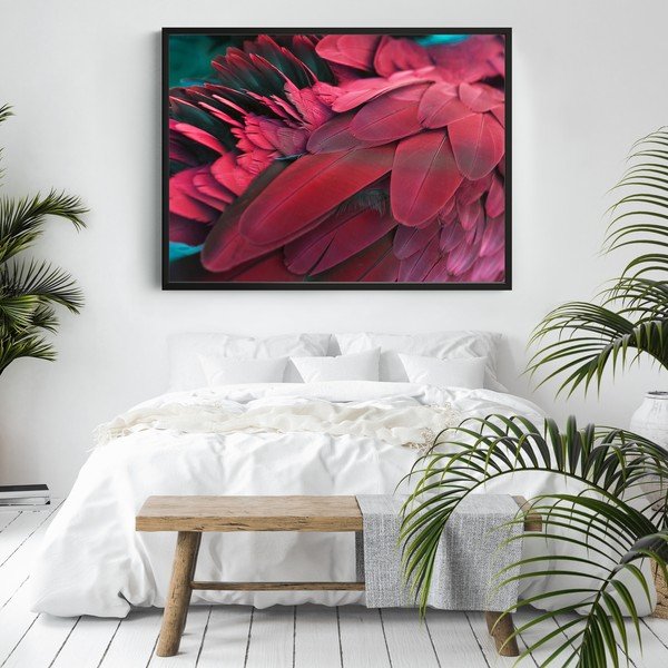 Plakat DecoKing Feathers Red, 70 x 50 cm-image-2