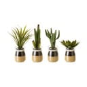 Umjetne biljke u setu 4 kom (visina 18 cm) Cactus – Casa Selección