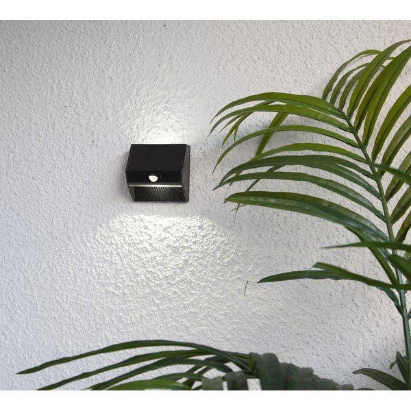 Zidna solarna LED svjetiljka Star Trading Wally, visina 11 cm-image-1