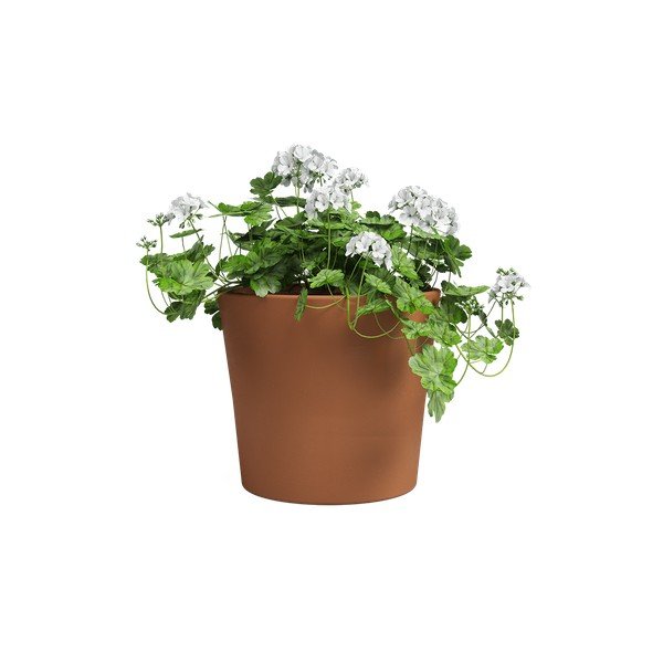 Tegla za cvijeće od terakote ø 39 cm Manuel – Artevasi-image-2