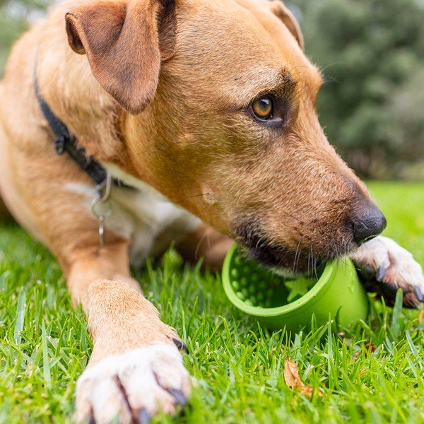 Posuda za lizanje Yoggie Pot Green – LickiMat-image-4