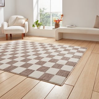 Smeđi tepih 200x290 cm Baltimore – Think Rugs