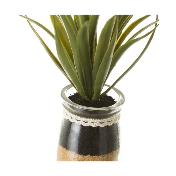 Umjetne biljke u setu 4 kom (visina 18 cm) Cactus – Casa Selección-image-2