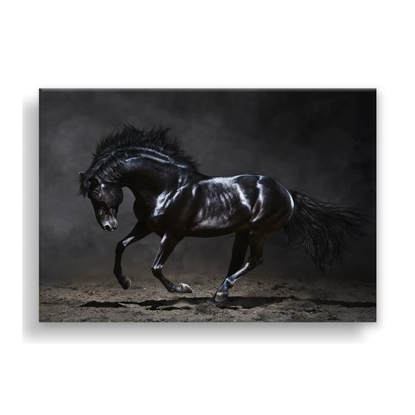 Slika Styler Canvas Silver Uno Horse, 85 x 113 cm