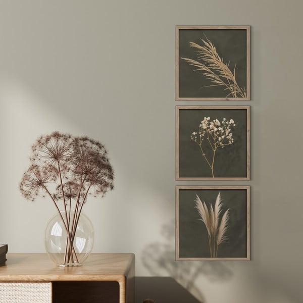 Slike u setu 3 kom 30x30 cm Pampas – Styler-image-1