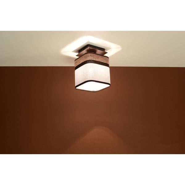 Stropna lampa Sollux Costa-image-1