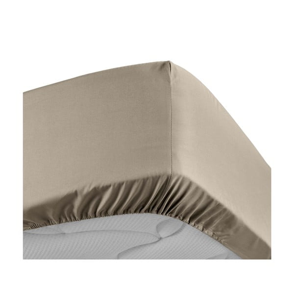 Svjetlo smeđa plahta s gumom od pamučnog perkala 90x190 cm Percaline – douceur d'intérieur-image-3