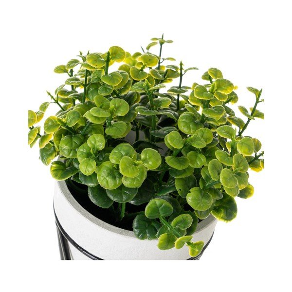 Umjetne biljke u setu 4 kom – Casa Selección-image-2