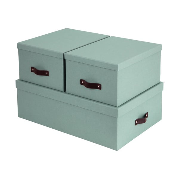 Mentol zelene kartonske kutije za pohranu u setu  3 kom s poklopcem 31x47x15 cm Inge – Bigso Box of Sweden